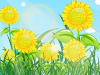 迎著太陽(yáng)的向日葵